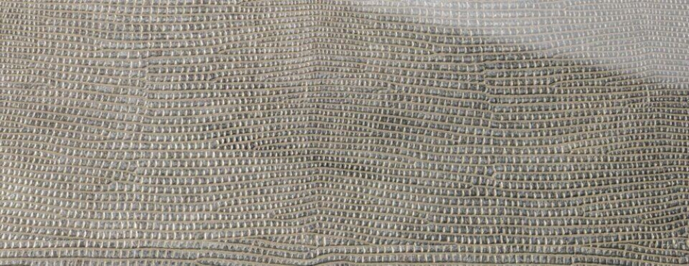 Image of SIBU Design SG LEGUAN Silver AR+ SA exkluzív dekorpanel 2600x1000x2.73 mm