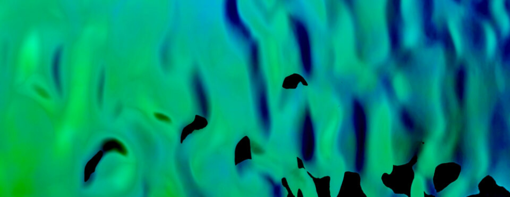 Image of SIBU Design SL OCEAN Aqua SA exkluzív dekorpanel 2600x1000x8.24 mm