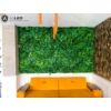 Kép 5/13 - Nortene Vertical Tropic műanyag zöldfal trópusi növényekkel (100 x 100 cm) RAKTÁRON!