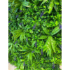 Kép 2/6 - Nortene Vertical Jungle műanyag zöldfal trópusi növényekkel (100 x 100 cm)