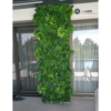 Kép 9/13 - Nortene Vertical Tropic műanyag zöldfal trópusi növényekkel (100 x 100 cm) RAKTÁRON!