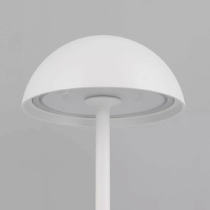 Kép 2/4 - Nova Luce Rose kültéri LED hangulatvilágítás fehér