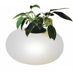 Kép 1/3 - AZzardo Flora asztali lámpa fehér