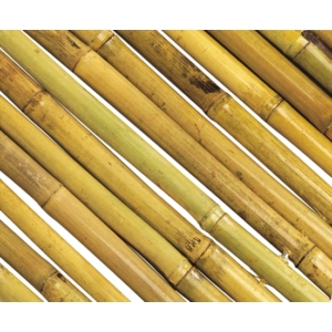 Kép 5/5 - Nortene BAMBOOFLEX rugalmas bambusz kerítés, 2x3 m, 90%