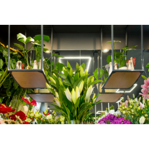 Kép 8/8 - Kanlux AVAR Design LED panel 60x60 cm, 40W 4000K, 3600 lumen