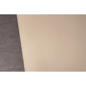Kép 3/4 - Dubai Decor Luxury PET-42 Solid Color Series falpanel, 2800 x 1220 x 8 mm, Champagne