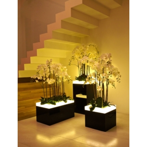 Kép 2/4 - SIBU Design DM MAGIC Black AR exkluzív dekorpanel 2600x1000x1 mm