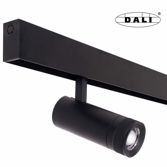 MAXLIGHT Track Magnetic 48V-os sínrendszeres spot lámpa, állítható, 12W, 3000K, 784 lm,  Ø5 cm, fekete, DALI