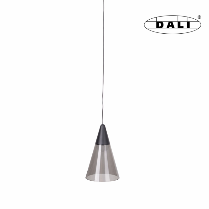 MAXLIGHT Track Magnetic 48V-os sínrendszeres függő lámpa, 6W, 3000K, 187 lm, 169 cm, fekete, DALI