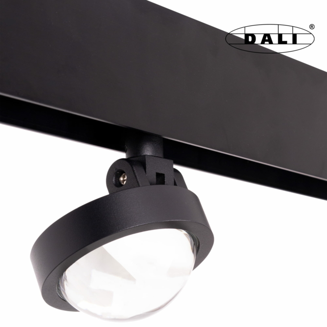 MAXLIGHT Track Magnetic 48V-os sínrendszeres lámpa, állítható, 8W, 3000K, 767 lm,  Ø6.5 cm, fekete, DALI